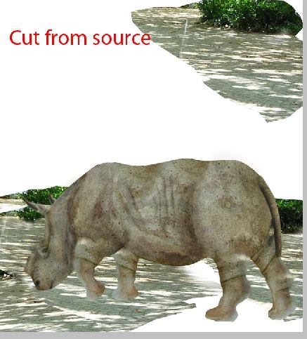 Creation of Rhino: Step 12